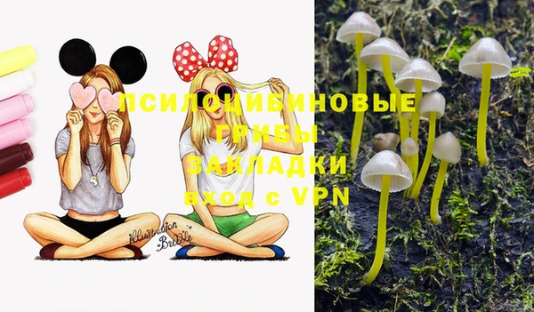марки lsd Балахна