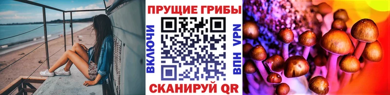 площадка как зайти Туран Галлюциногенные грибы Psilocybe где продают наркотики
